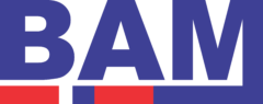 BAM Consulting Logo